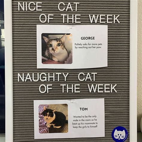 Video of the Week .